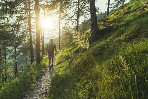 kinesiology, moving better